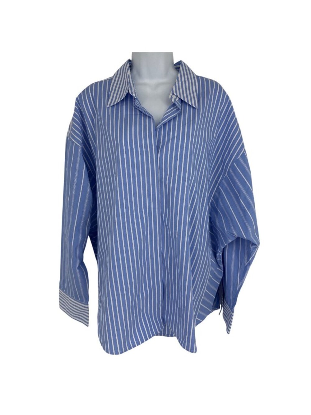 Express Striped Blue Button-Up Long Sleeve Boyfriend Shirt Size L